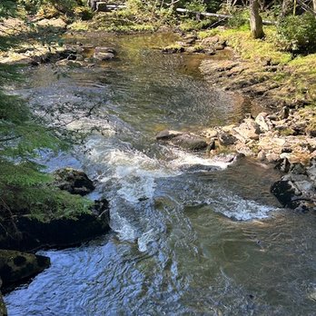 Salmon Ladder Vista - Look closely: tons of salmon! - Parks Near Me - Ketchikan, Alaska