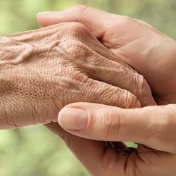 Eldercare Advocacy