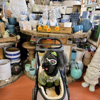 Ritters Garden & Gift - I love gnomes!! - Nurseries & Gardening Near Me - Spokane, Washington