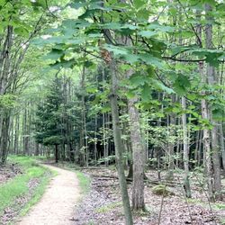 The Owens Falls Sanctuary