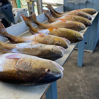 Rod Bending Charters - Fishing Near Me - Galveston, Texas