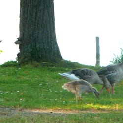Wurlsee Camping Lychen