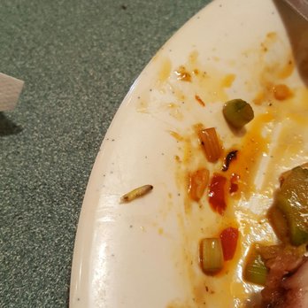 King Buffet - I found a live maggot in my broccoli beef! The mgr offered 50% off MY plate only, equal to $4. This was our first /last time @ King Buffet. - Buffets Near Me - Visalia, California King Buffet - I found a live maggot in my broccoli beef! The mgr offered 50% off MY plate only, equal to $4. This was our first /last time @ King Buffet. - Buffets Near Me - Visalia, California