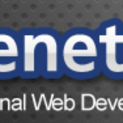 The Net - professional web development