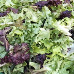 Washington Square CSA - mixed lettuces