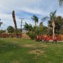 Photo of Reyes Tree Preservation