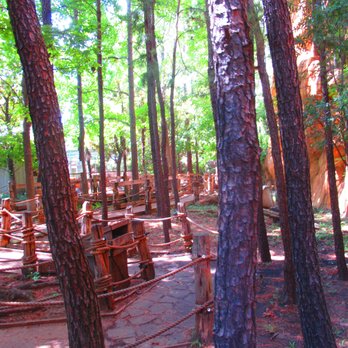 Runaway Mountain - Runaway Mountain - Amusement Parks Near Me - Arlington, Texas Runaway Mountain - Runaway Mountain - Amusement Parks Near Me - Arlington, Texas