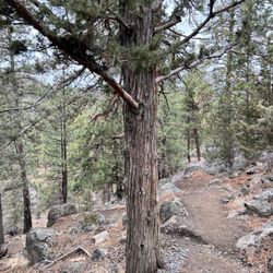 Riley Ranch Nature Reserve - Riley Ranch - trail to the canyon loop below