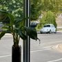 Sprout Plant Parlour & Café