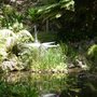 Photo of Eden Garden