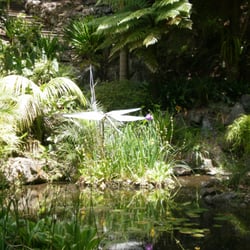 Eden Garden