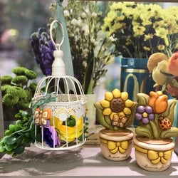 Thun shop - aria primaverile