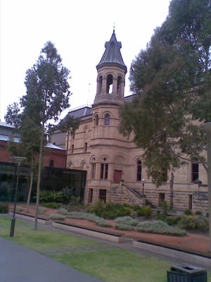 South Australian Museum by null