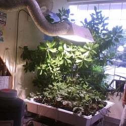 Humboldt Hydrophonics