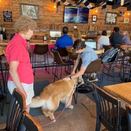 a woman and a dog a woman and a dog