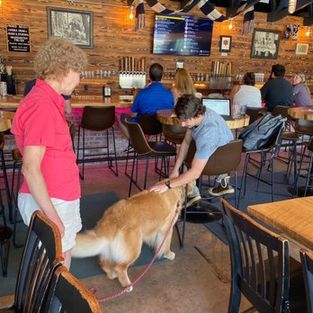 Ten Eyck Brewing - a woman and a dog - Breweries Near Me - Queenstown, Maryland