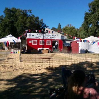 Mother Lode Fairgrounds - Cooks Racing Pigs and Dogs!! - Venues & Event Spaces Near Me - Sonora, California