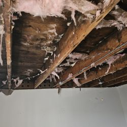 EnviroConsulting - Mold inspection