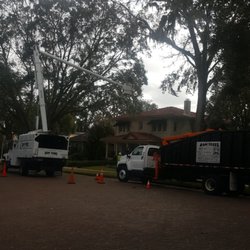 Bam Tree Service