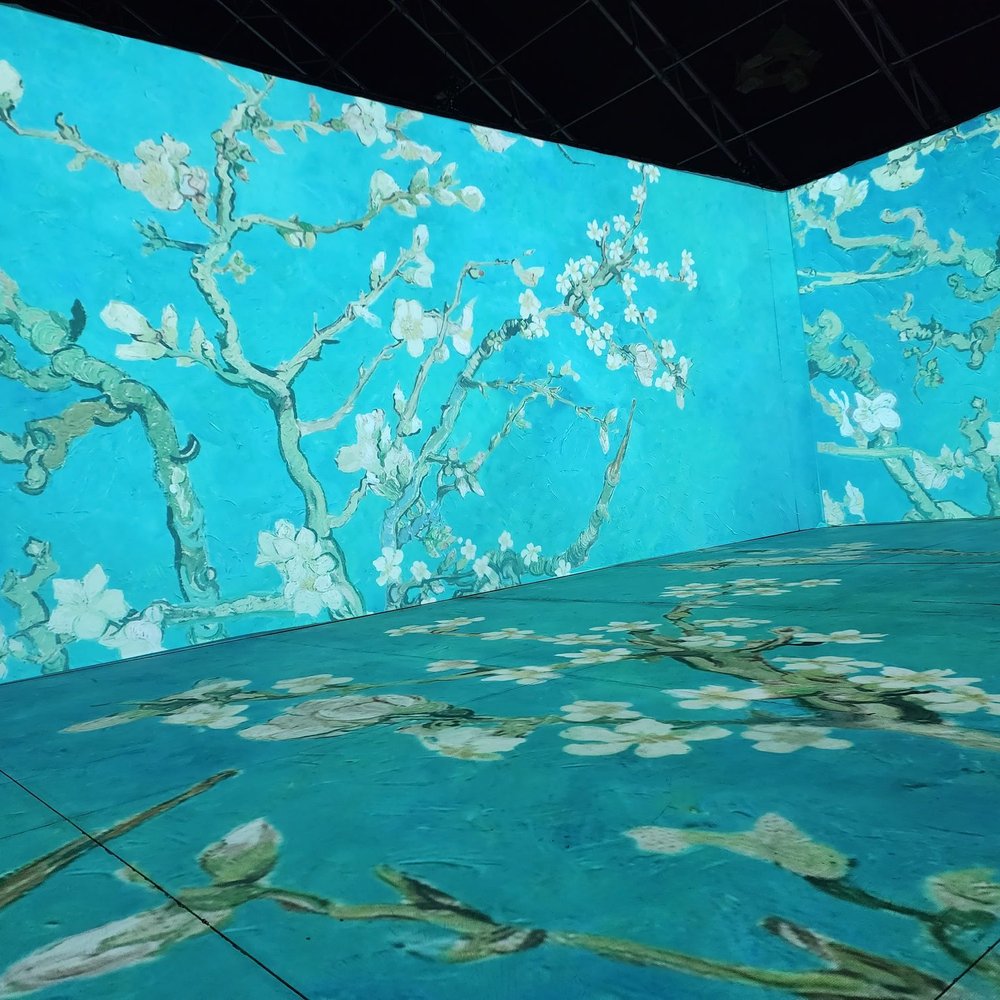 Beyond Van Gogh - Art Museums Near Me - Del Mar, California Beyond Van Gogh - Art Museums Near Me - Del Mar, California