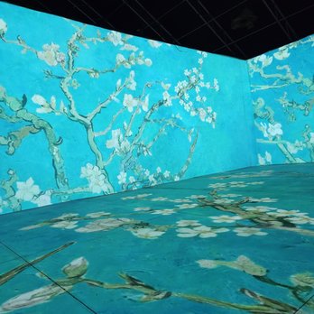 Beyond Van Gogh - Art Museums Near Me - Del Mar, California