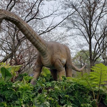 Bronx Zoo - U can imagine them roaming the earth - Zoos Near Me - Bronx, New York
