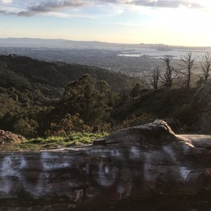 GRIZZLY PEAK - 306 Photos & 144 Reviews - Old Fish Ranch Rd, Berkeley ...