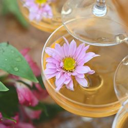 Hill Country Cider House - It's more than a drink, it's an experience
