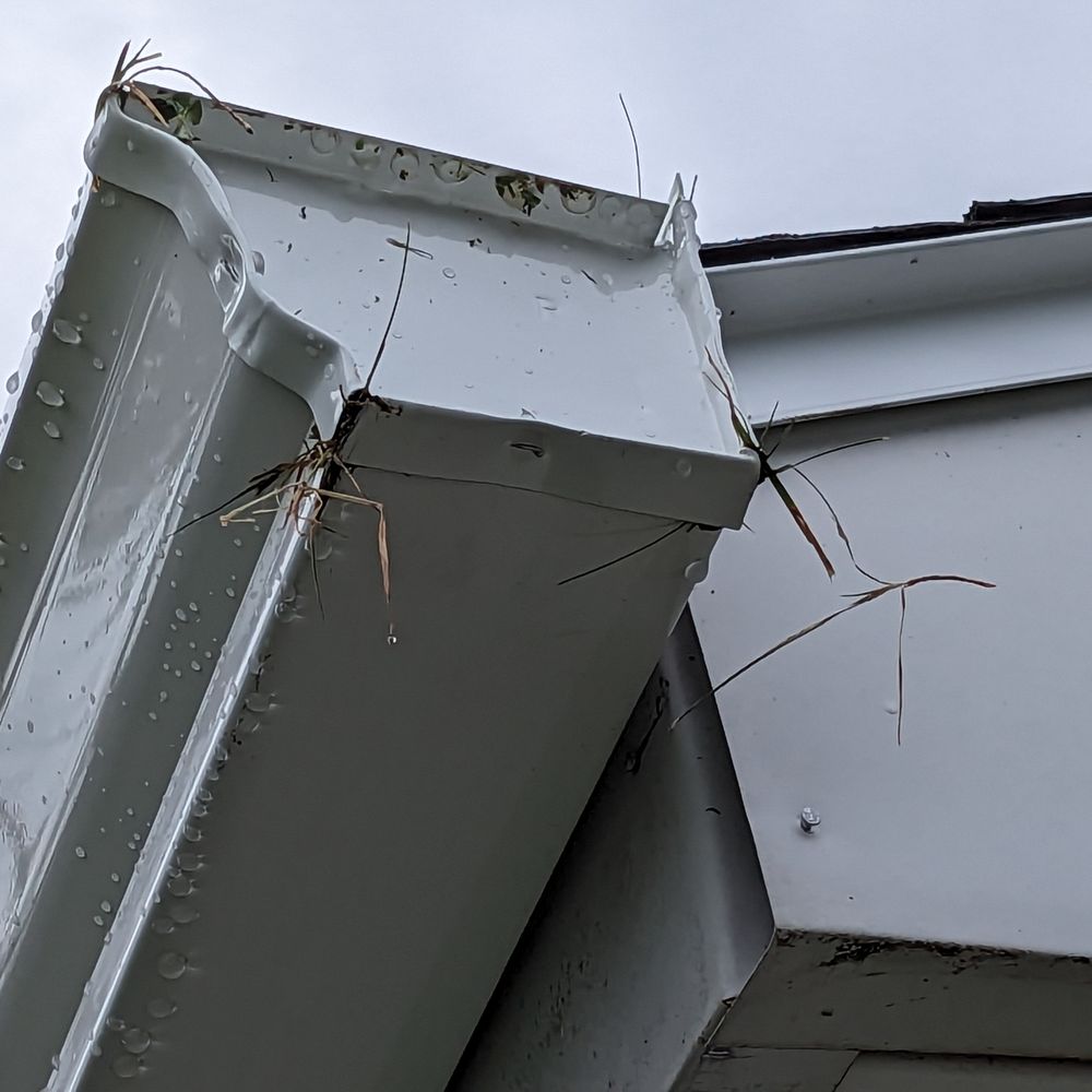 Graves Brothers Home Improvement - Grass, yes grass, jammed into the installed gutter because the installer threw them into the ground from atop his shoulder. - Roofing Near Me - Rochester, New York