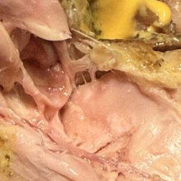 Raw chicken served to us!!! Raw chicken served to us!!!