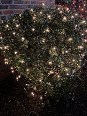 Fort Hamilton by null