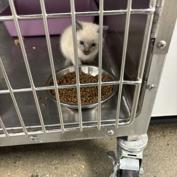 FRESNO HUMANE ANIMAL SERVICES - Updated February 2026 - 28 Photos & 16