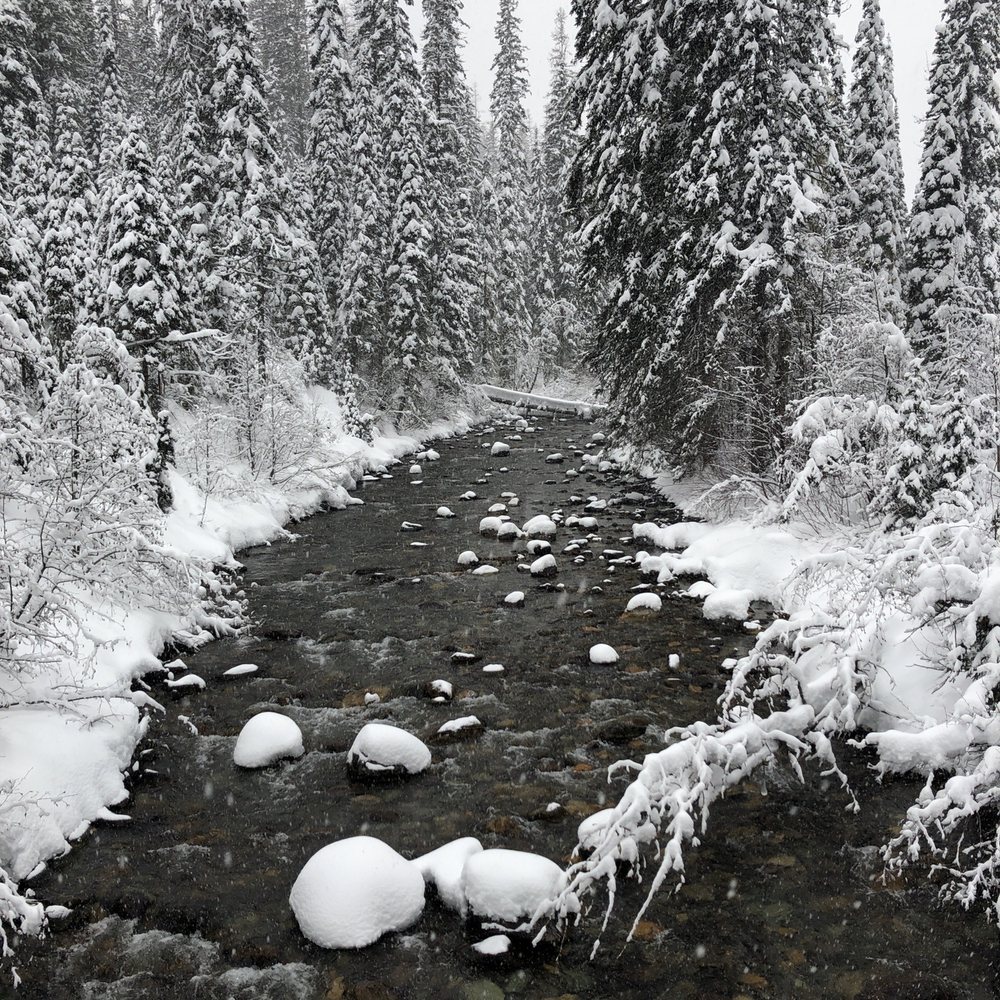 Northwest Montana Adventures - A little creek we stopped at on the way back from the peak. - ATV Rentals/Tours Near Me - Olney, Montana Northwest Montana Adventures - A little creek we stopped at on the way back from the peak. - ATV Rentals/Tours Near Me - Olney, Montana