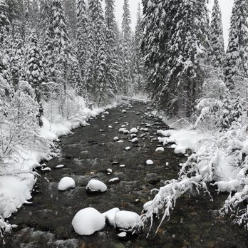 Northwest Montana Adventures - A little creek we stopped at on the way back from the peak. - ATV Rentals/Tours Near Me - Olney, Montana Northwest Montana Adventures - A little creek we stopped at on the way back from the peak. - ATV Rentals/Tours Near Me - Olney, Montana