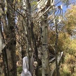 Park City Nursery Bulk Yard - Halloween 2020 Haunted Forest :)