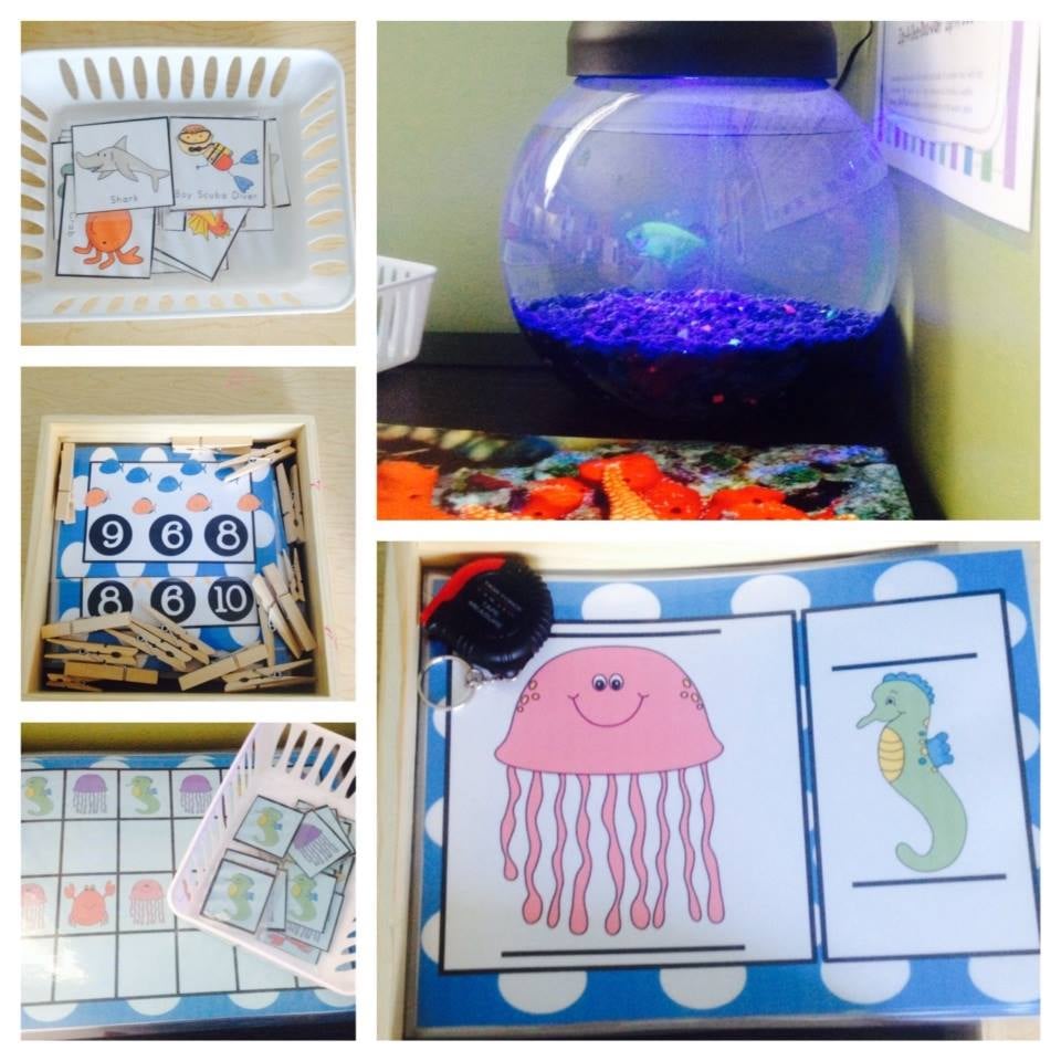 Sprouts Preschool - childcare center in Canandaigua, NY