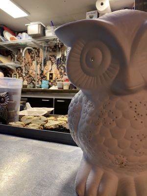 Night Owl PNW by null