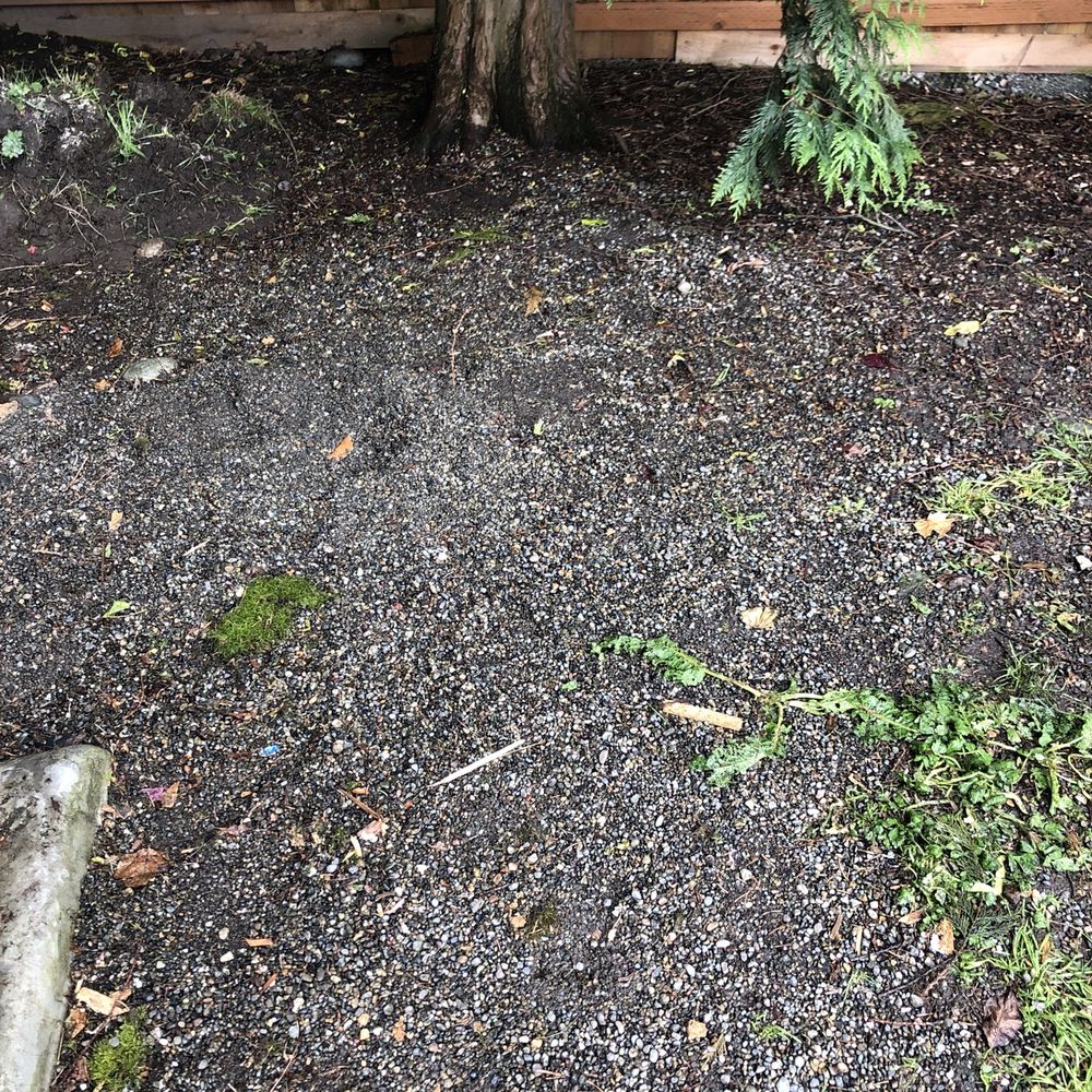 Budget Hauling - Close up of very clean area where shed was - Junk Removal & Hauling Near Me - Seattle, Washington