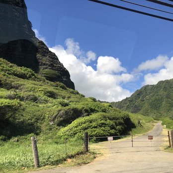 Hawaii Turtle Tours - Lots of references to movies made in Oahu - Tours Near Me - Honolulu, Hawaii Hawaii Turtle Tours - Lots of references to movies made in Oahu - Tours Near Me - Honolulu, Hawaii