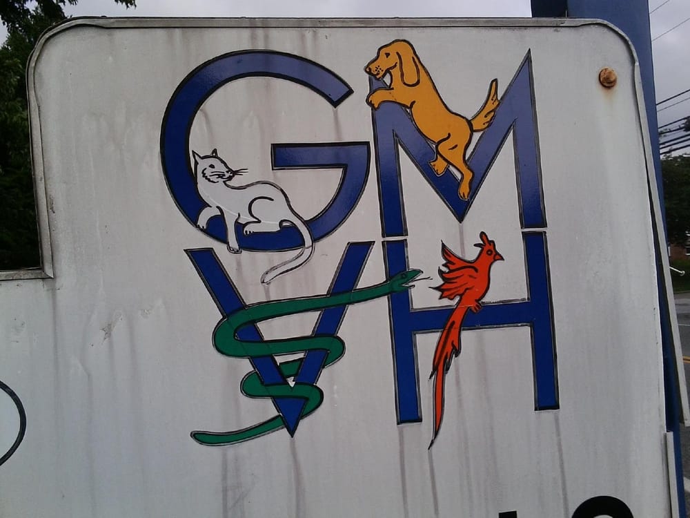 GULPH MILLS VETERINARY HOSPITAL Updated October 2024 22 Reviews