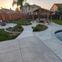 Photo of Curb A Lawn