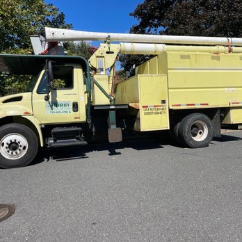 Marin Landscaping and Tree Service - Landscaping Near Me - Freehold, New Jersey Marin Landscaping and Tree Service - Landscaping Near Me - Freehold, New Jersey