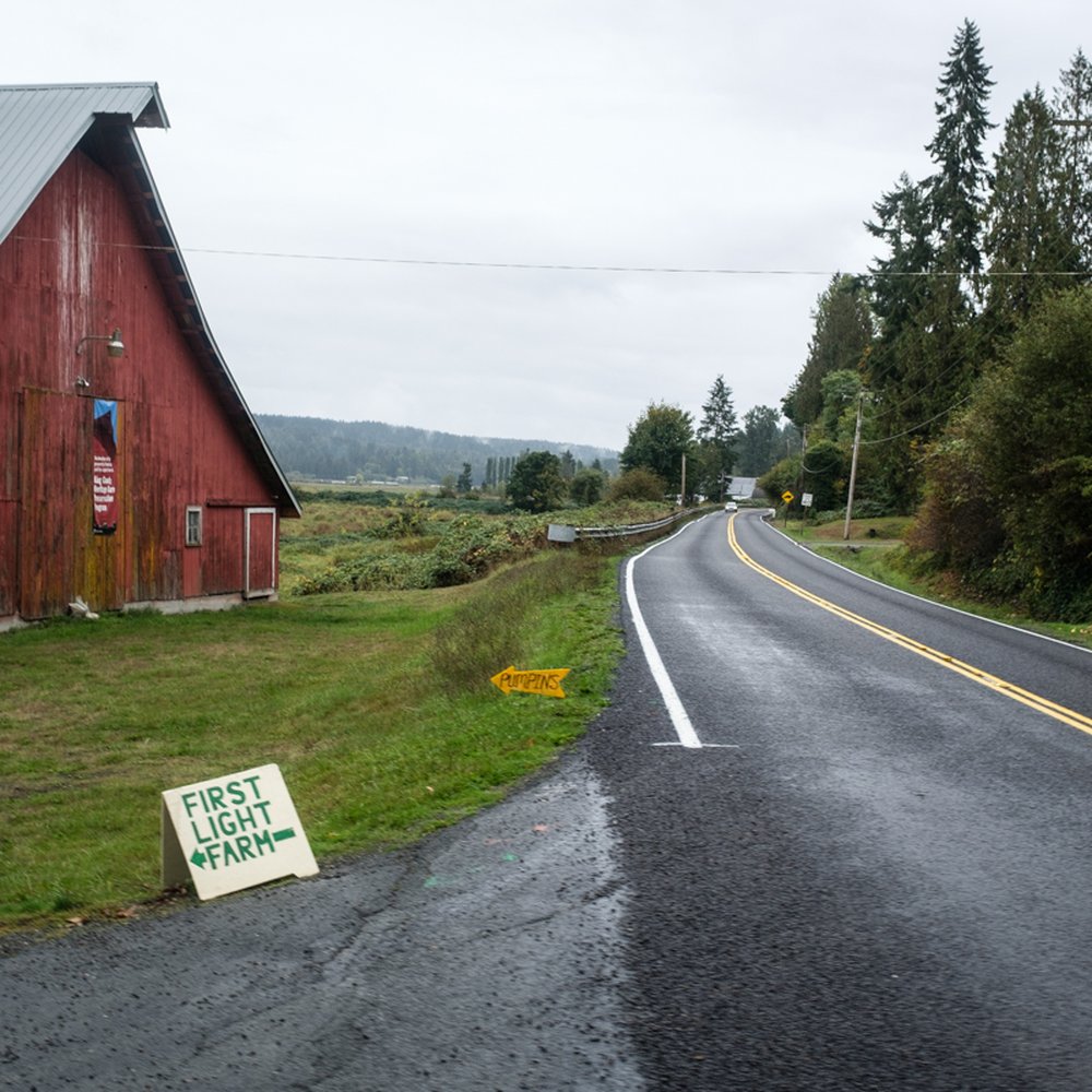 Customized Tours - Pumpins ;) - Tours Near Me - Des Moines, Washington Customized Tours - Pumpins ;) - Tours Near Me - Des Moines, Washington