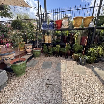 River Oaks Plant House - Pots - Florists Near Me - Houston, Texas