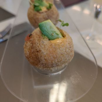 Ember & Vine - Spicy tuna bombs - Mediterranean Near Me - Coral Springs, Florida Ember & Vine - Spicy tuna bombs - Mediterranean Near Me - Coral Springs, Florida