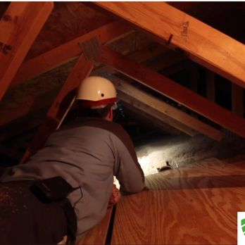 EcoShield Pest Solutions - Pest Control Near Me - Norristown, Pennsylvania
