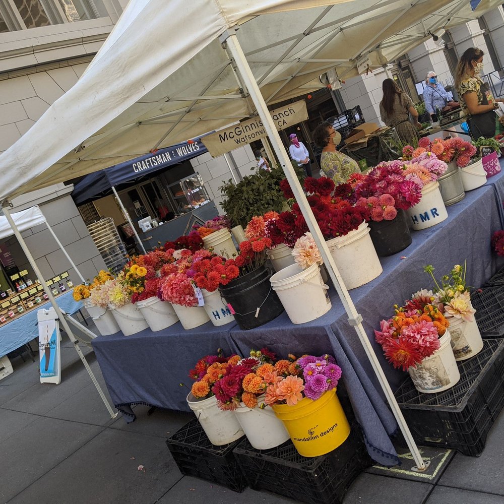 Flower Growers In Watsonville Ca Best Flower Site