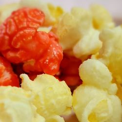 Pops Kernel Gourmet Popcorn