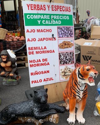 Azteca Farmers Market by null