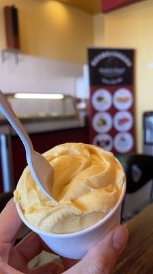 Marco Polo Italian Ice Cream Inc. by null
